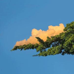 美女扒开内裤让我捅出白浆免费看久久AV
